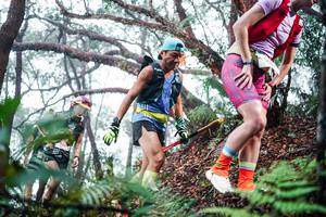 BIB: 
                            <button type="button" onclick="openModal(26295372)" class="btn btn-primary btn-sm float-right btn-popup" data-toggle="modal" data-target=".modal-high-quality">
                        <i class="fas fa-shopping-cart"></i> Add to Cart
                    </button>
                                            <button type="button" onclick="isThisMe(26295372, true)" class="btn btn-success btn-sm float-right btn-popup btn-isme hidden" data-toggle="tooltip" data-placement="bottom" title="นี่คือรูปของคุณใช่ไหม คลิกที่นี่เพื่อเอาเข้าอัลบั้ม">
                        <i class="fas fa-plus"></i> Add to album
                    </button>
                    <button type="button" onclick="isThisMe(26295372, false)" class="btn btn-warning btn-sm float-right btn-popup btn-isnotme hidden">
                        <i class="fas fa-ban"></i> Remove from album
                    </button>